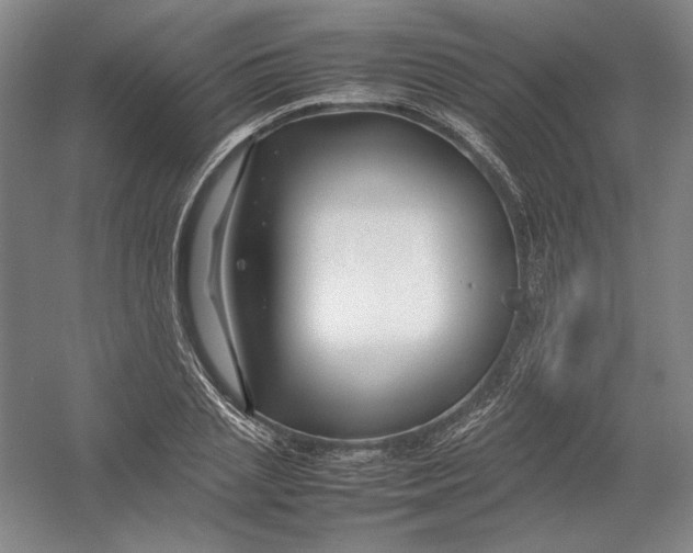 X0000054410837200508192029