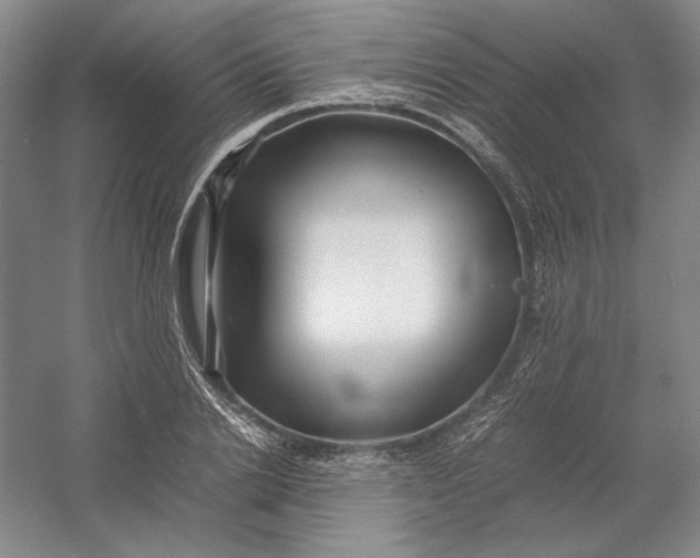 X0000054410838200508192029