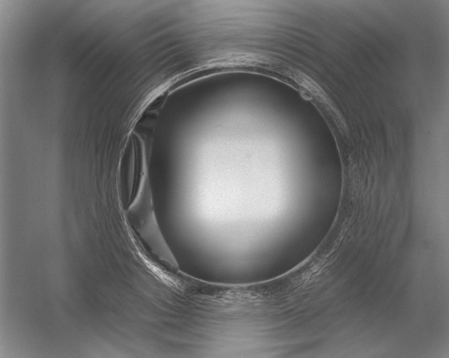 X0000054410842200508192029