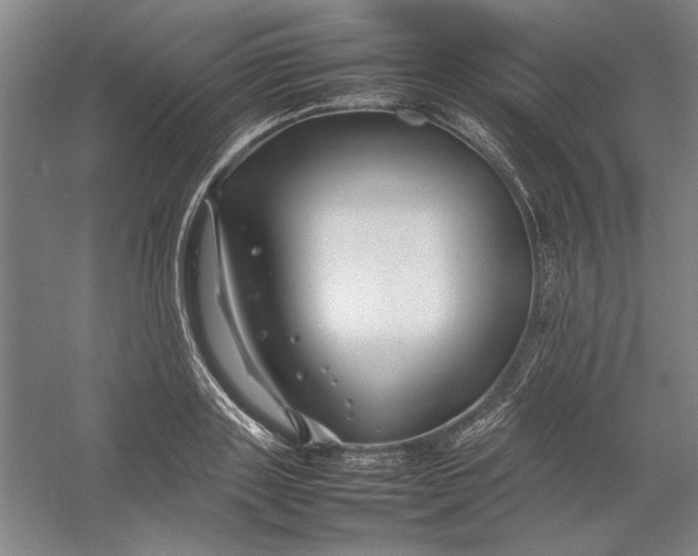 X0000054410843200508192029