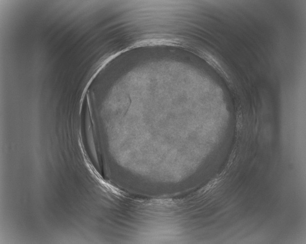 X0000054410844200508192029
