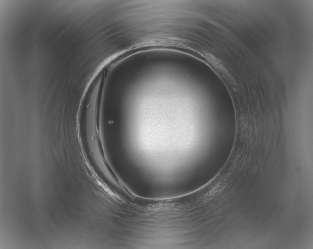 X0000054410846200508192029