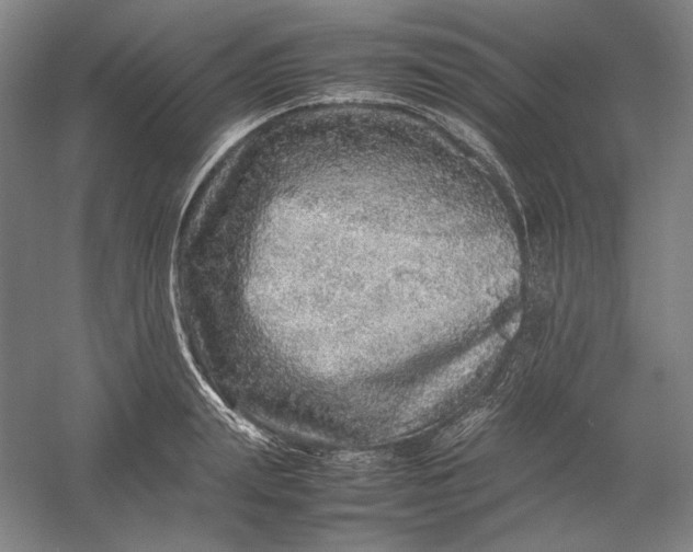 X0000054410847200508192029
