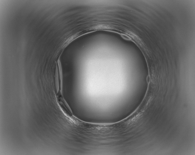 X0000054410849200508192029