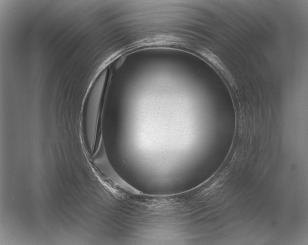 X0000054410850200508192029