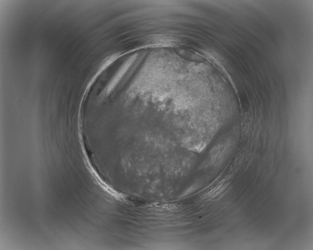X0000054410851200508192029