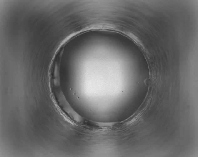 X0000054410854200508192029