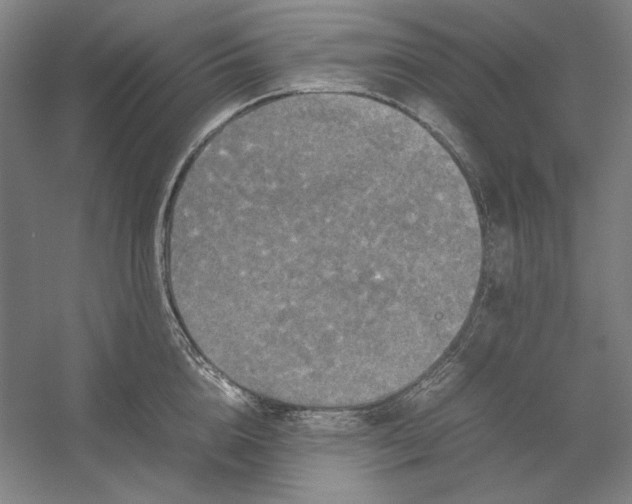 X0000054410856200508192029