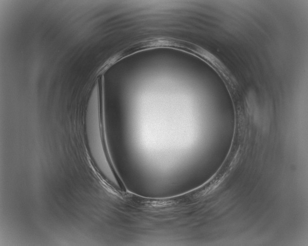 X0000054410857200508192029