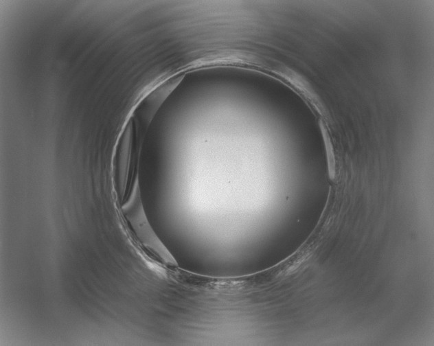 X0000054410858200508192029