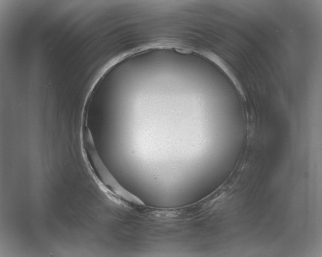 X0000054410861200508192029