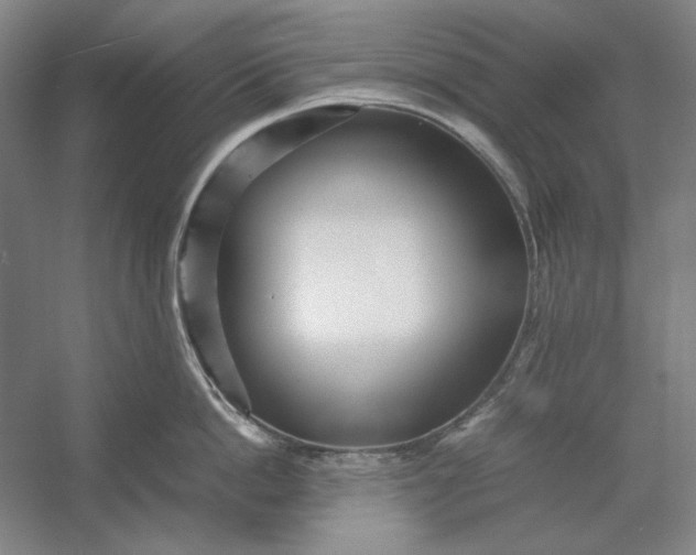 X0000054410862200508192029