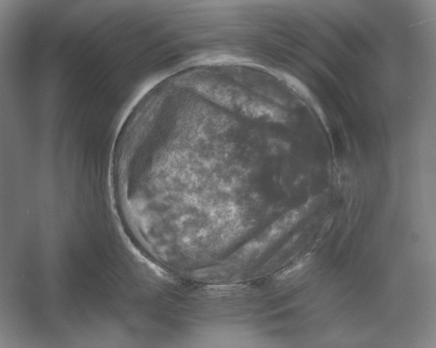 X0000054410863200508192029