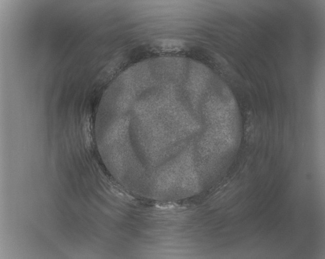 X0000054410866200508192028