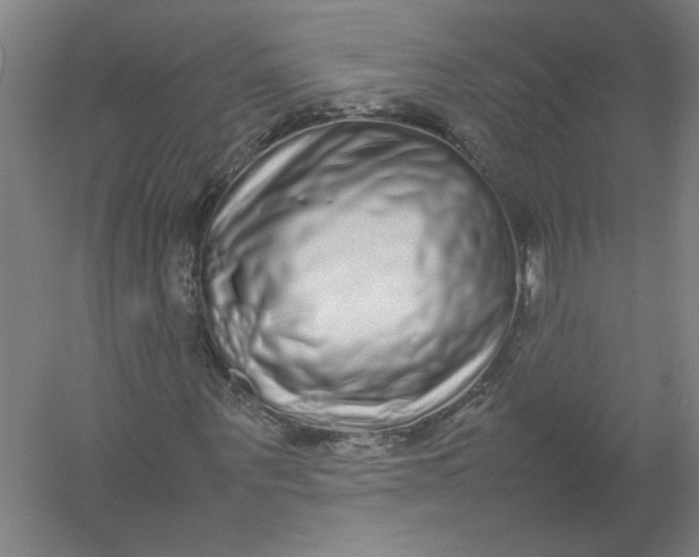 X0000054410867200508192028