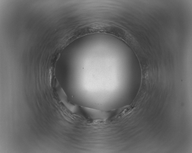 X0000054410868200508192028