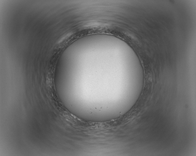 X0000054410869200508192028