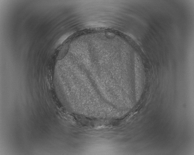 X0000054410871200508192028
