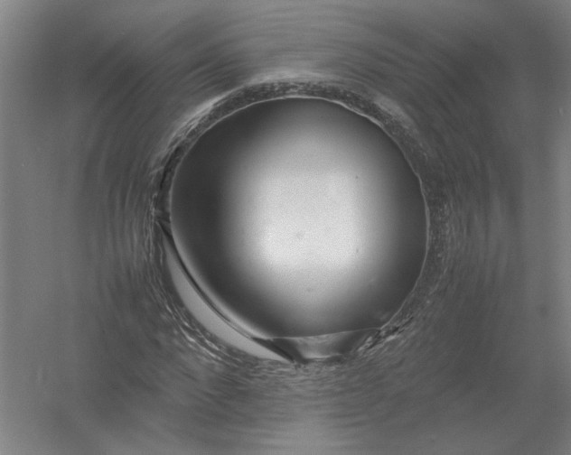 X0000054410872200508192028