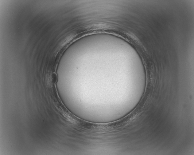 X0000054410873200508192028