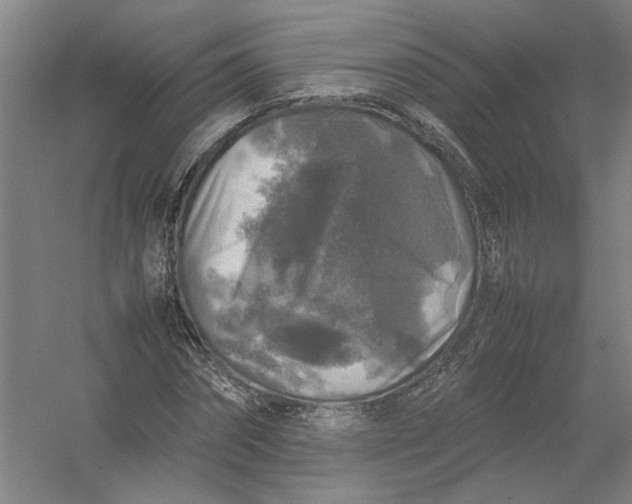X0000054410874200508192028