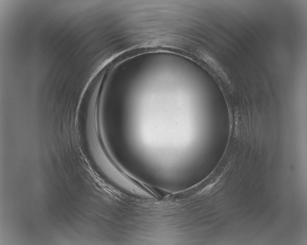 X0000054410876200508192028