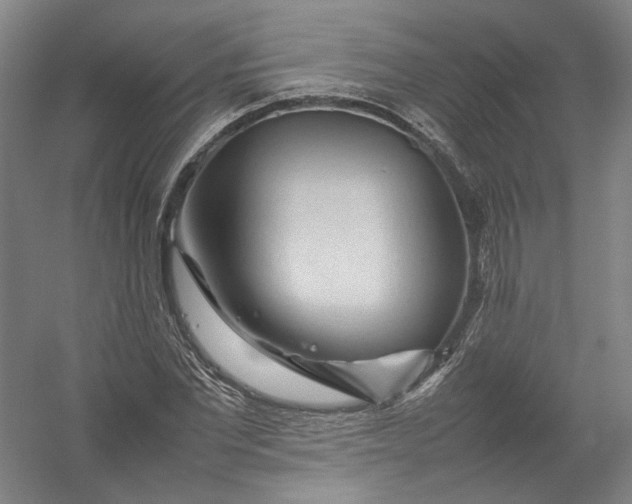 X0000054410877200508192028