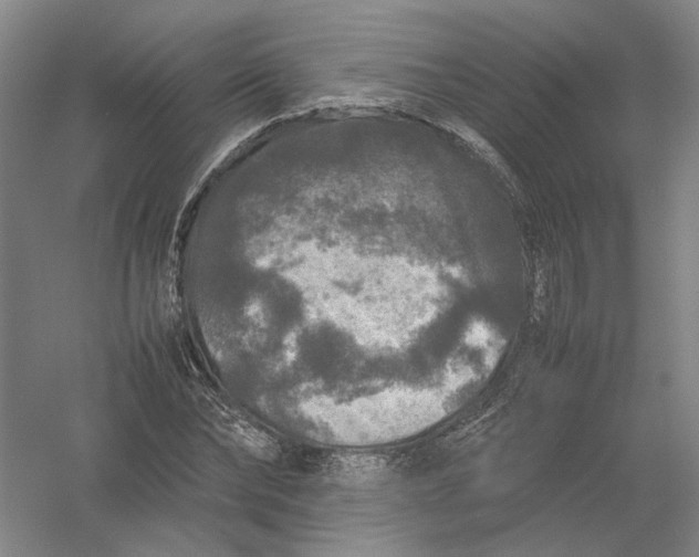 X0000054410878200508192028