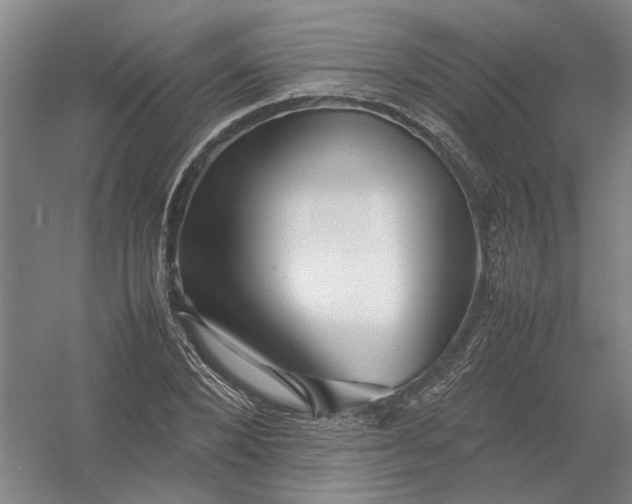 X0000054410880200508192028