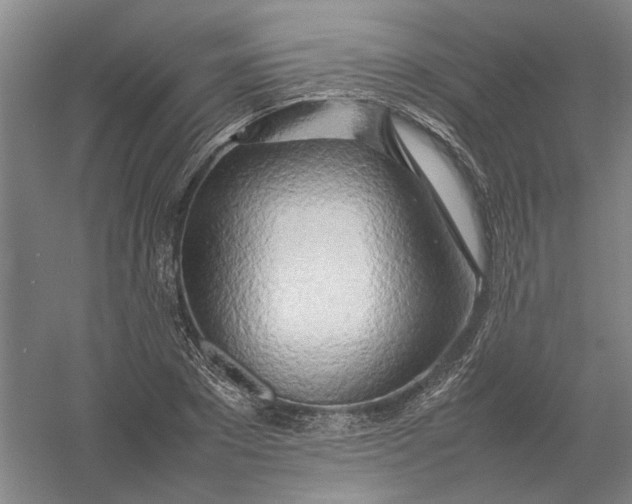 X0000054410881200508192028
