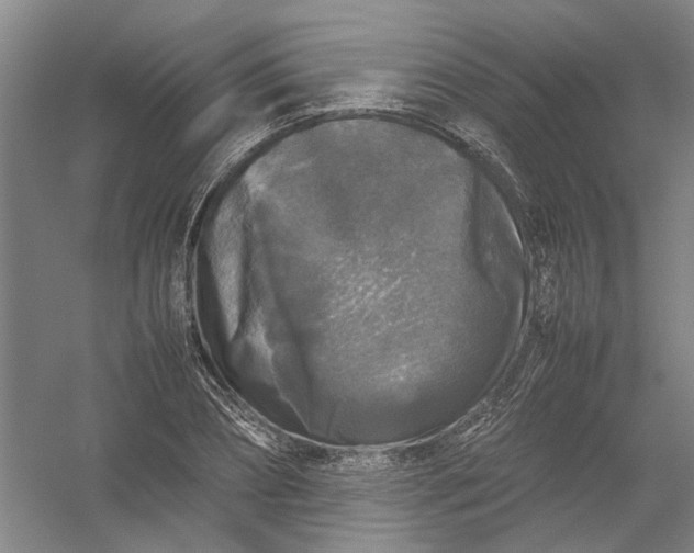 X0000054410882200508192028
