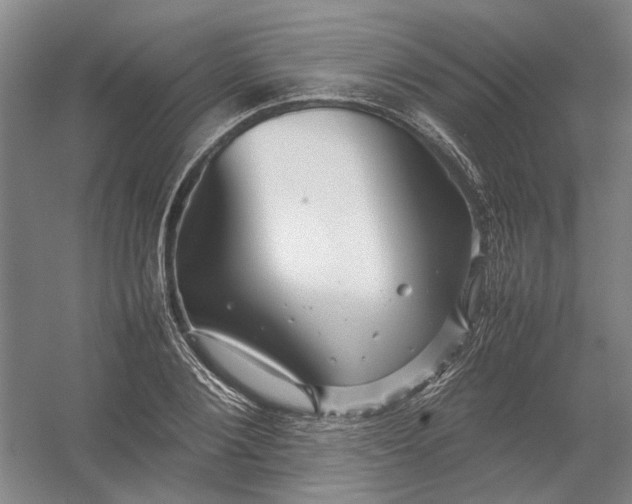 X0000054410884200508192028
