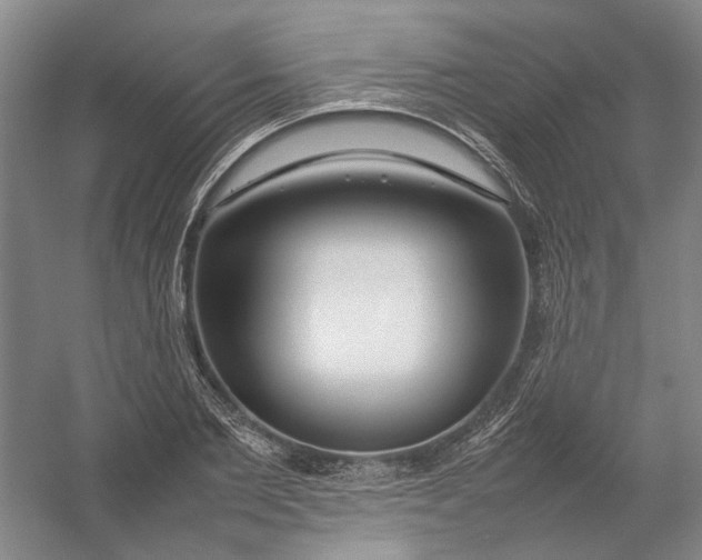 X0000054410885200508192028