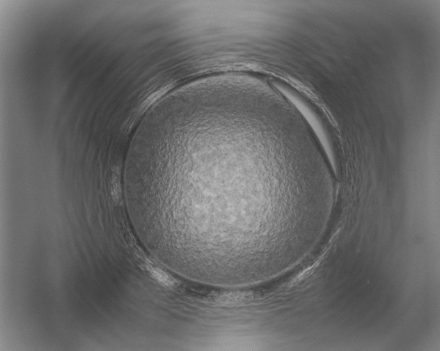 X0000054410889200508192028