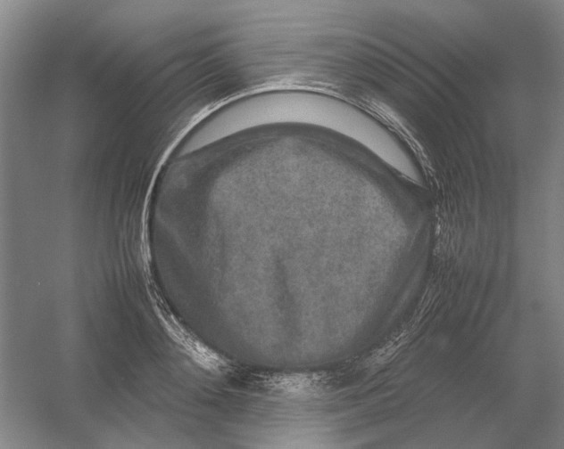 X0000054410892200508192028