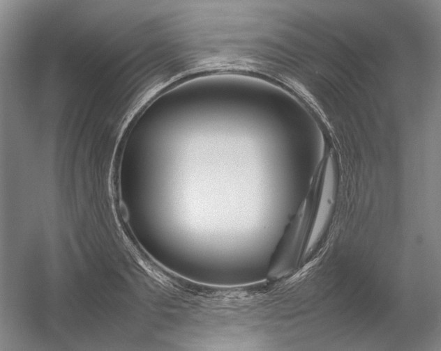 X0000054410893200508192028