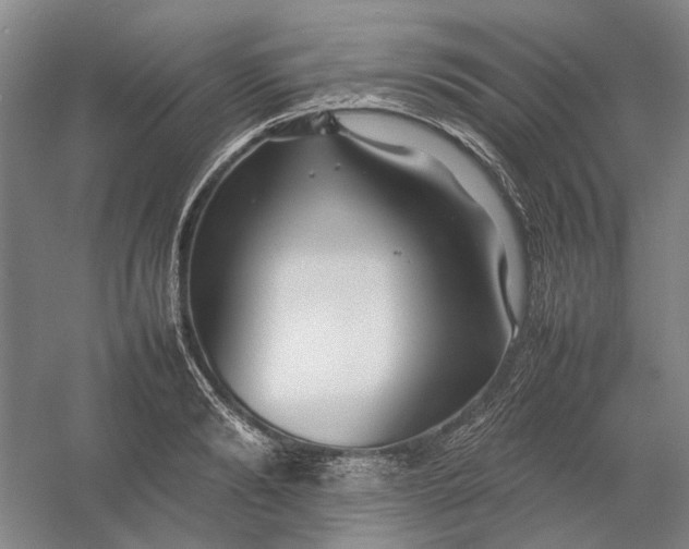 X0000054410894200508192028
