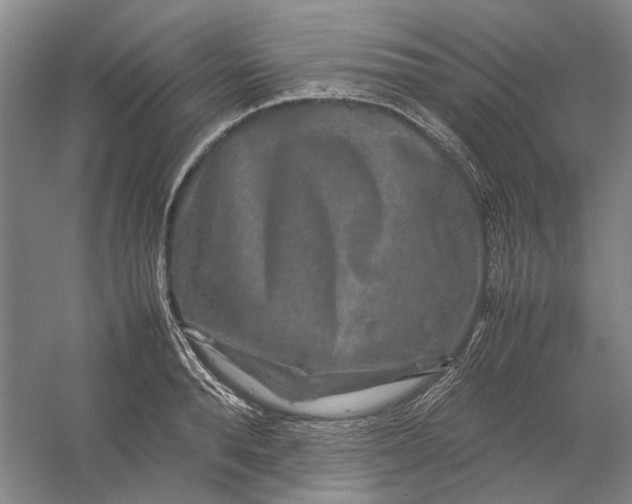 X0000054410896200508192028