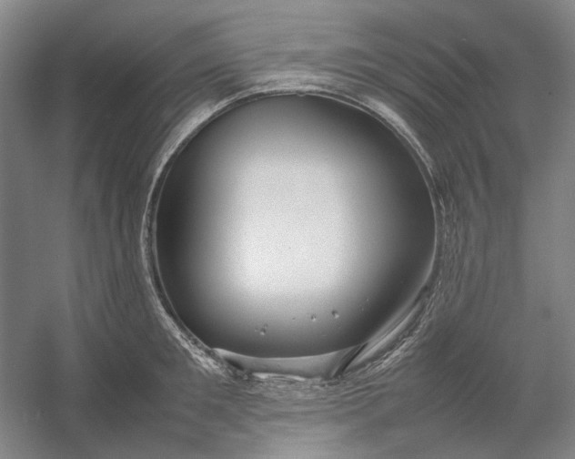 X0000054410901200508192028