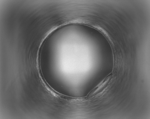 X0000054410902200508192028