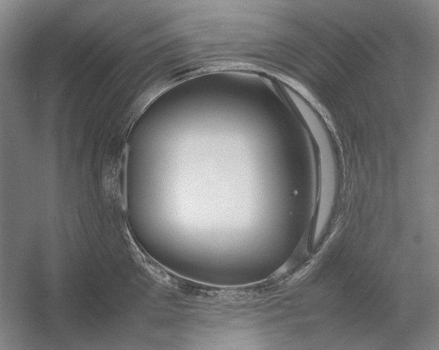 X0000054410905200508192028