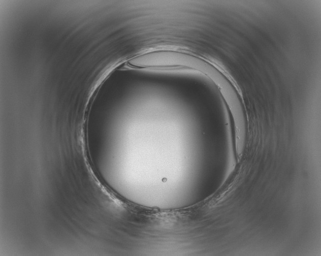 X0000054410906200508192028