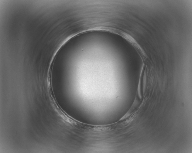 X0000054410908200508192028