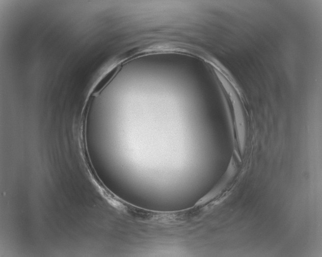 X0000054410909200508192028