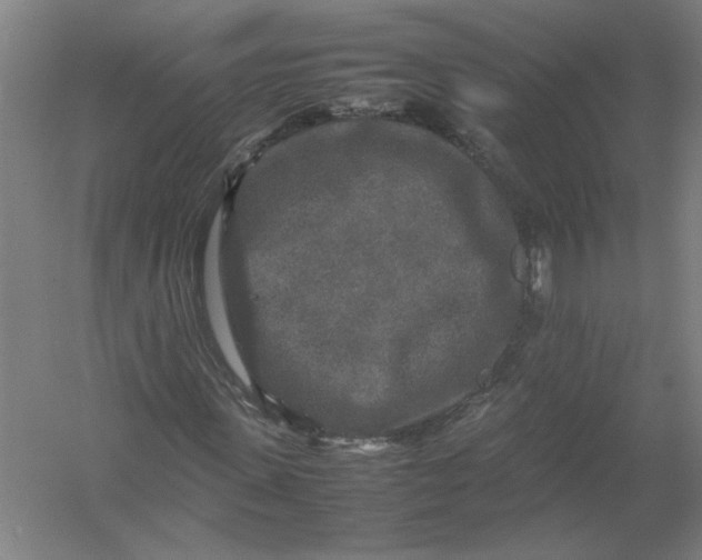 X0000054410915200508192027