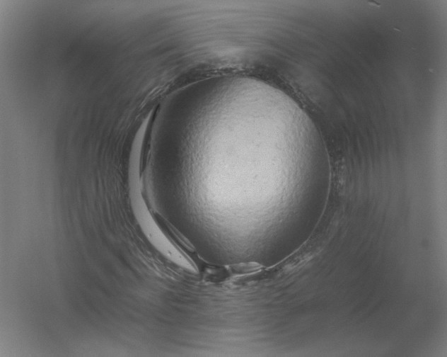 X0000054410916200508192027