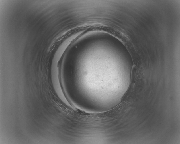 X0000054410920200508192027