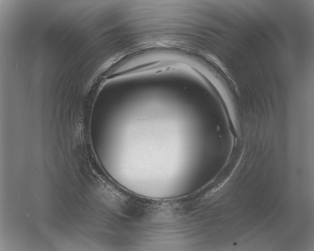 X0000054410922200508192027