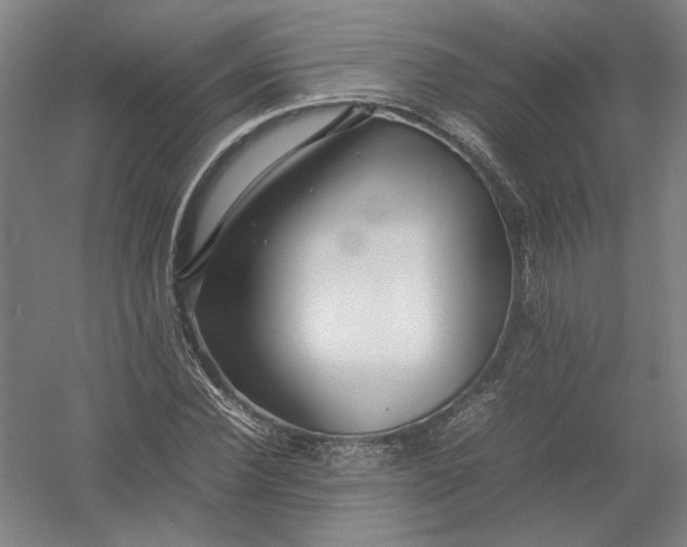 X0000054410924200508192027