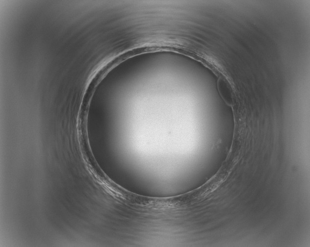 X0000054410928200508192027
